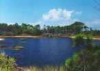 Dune Lake